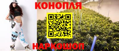 МДПВ Пенза