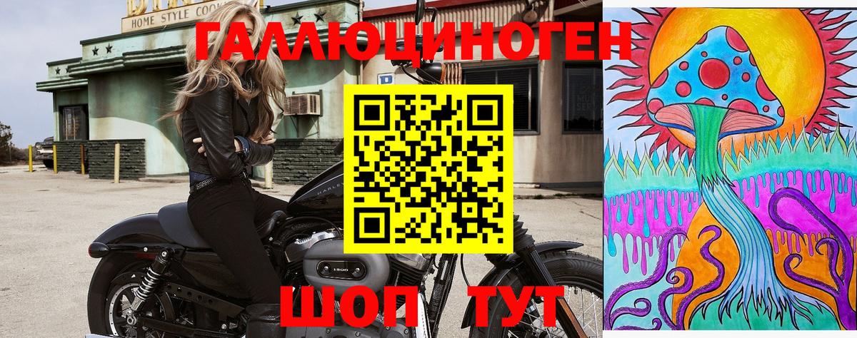 Псилоцибиновые грибы GOLDEN TEACHER Ульяновск