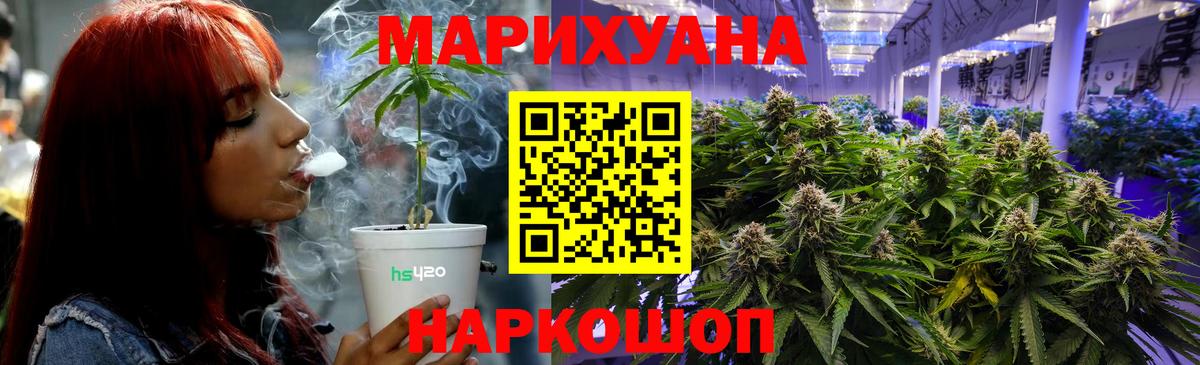 Бошки Шишки планчик Ульяновск